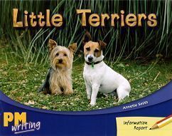 PM Writing 1 Red/Yellow 5/6 Little Terriers